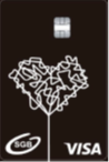 Wizerunek nr 1 karty VISA