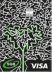 Wizerunek nr 6 karty VISA